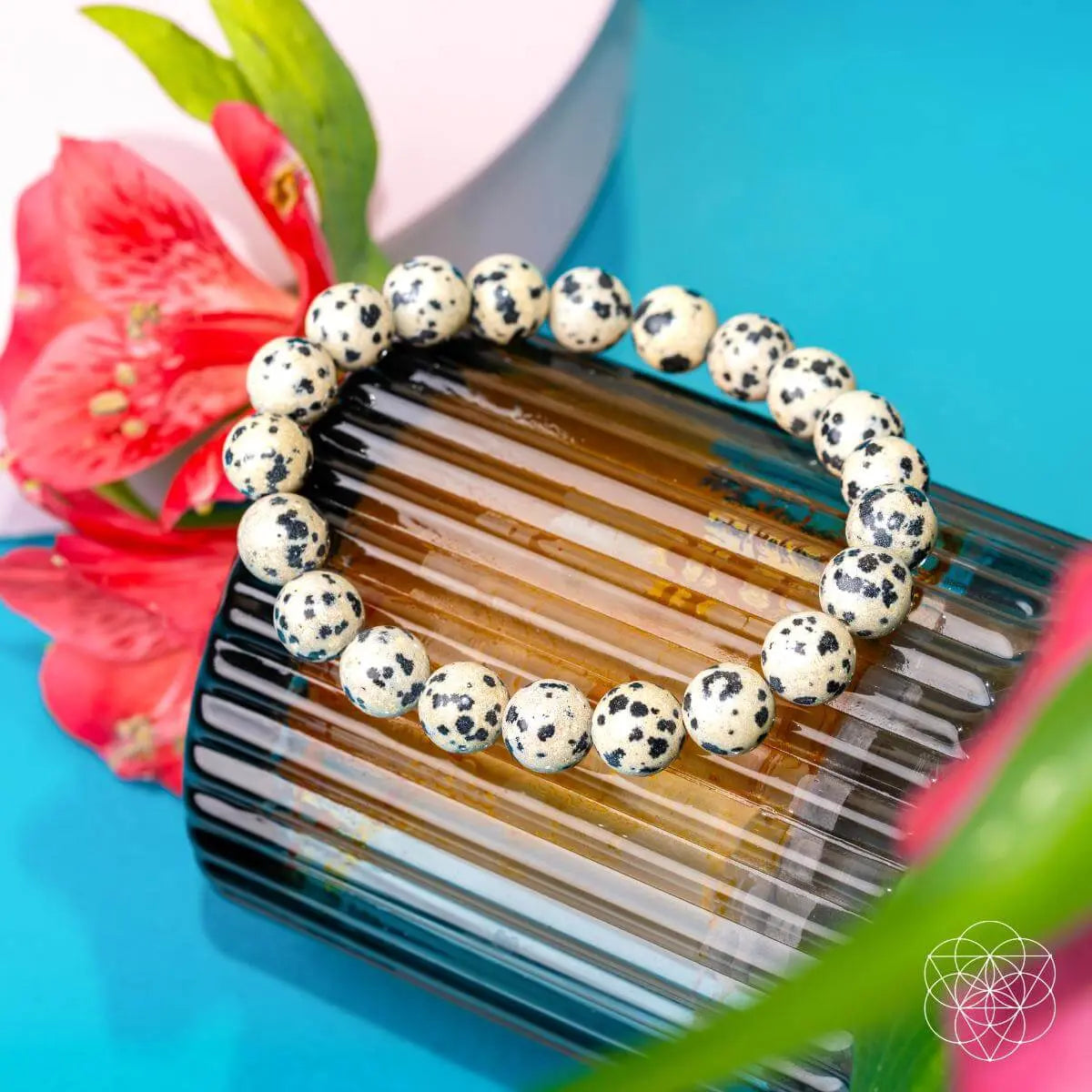 Dalmatian Jasper bracelet from Conscious Items featuring black and cream spotted stones on a stretch cord.