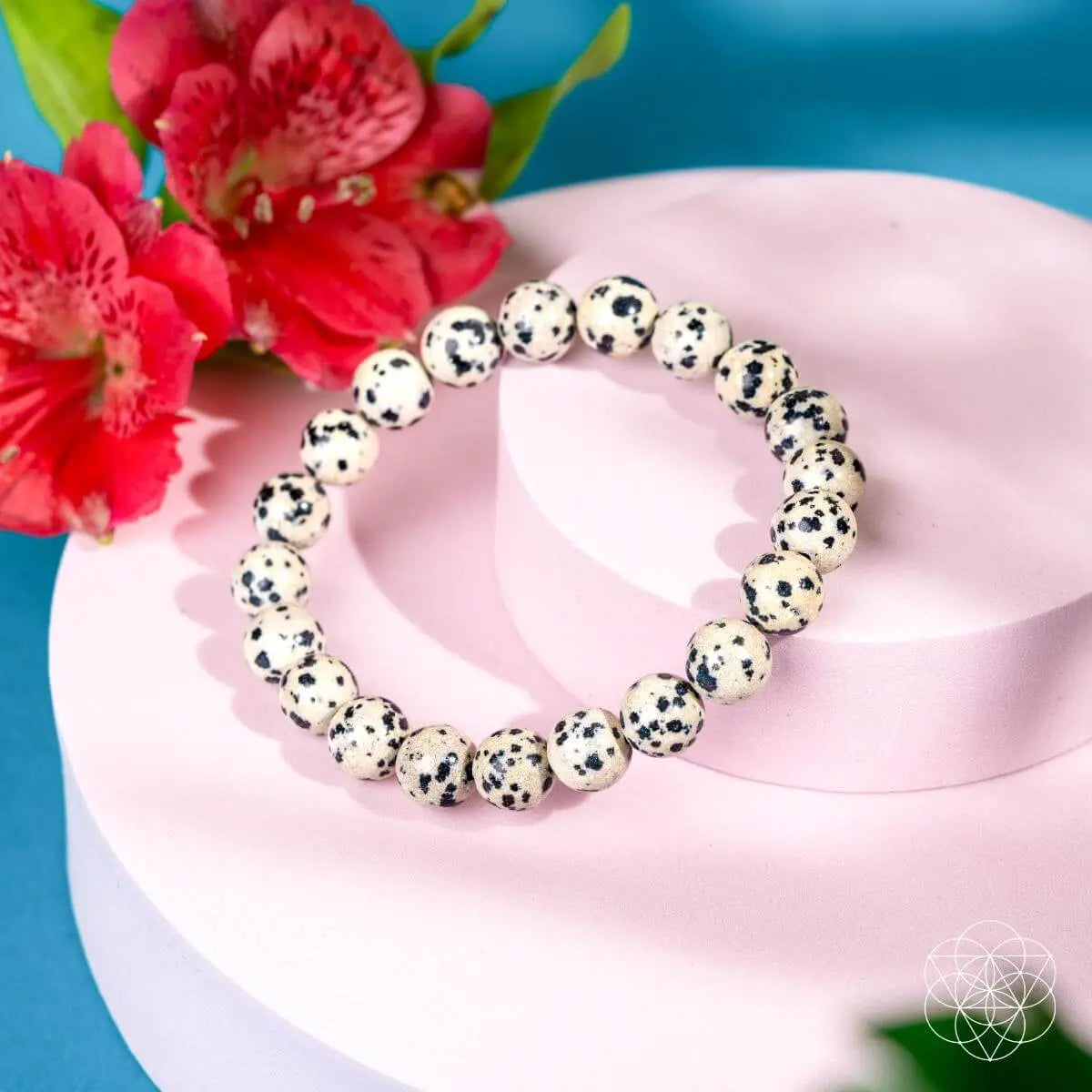 Dalmatian Jasper bracelet from Conscious Items featuring natural stone beads and a unique spotted pattern.